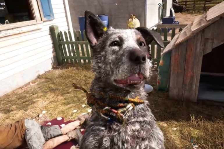 Boomer from Far Cry can be petted and this is important information