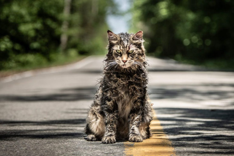 The 2019 remake of Pet Sematary will be available in 4DX.