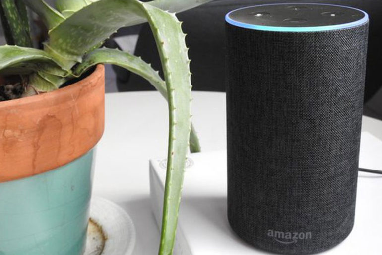 Amazon's Echo Speaker