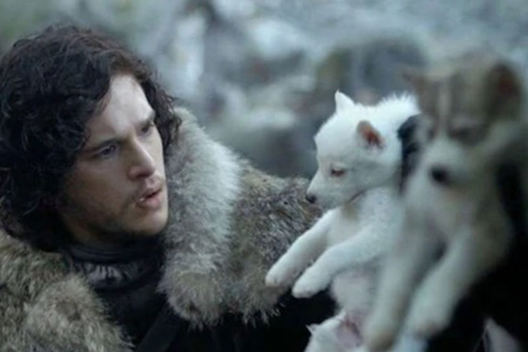 Game of Thrones Dire Wolf