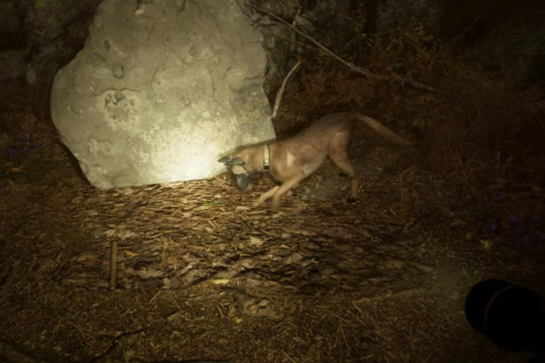Blair Witch Dog