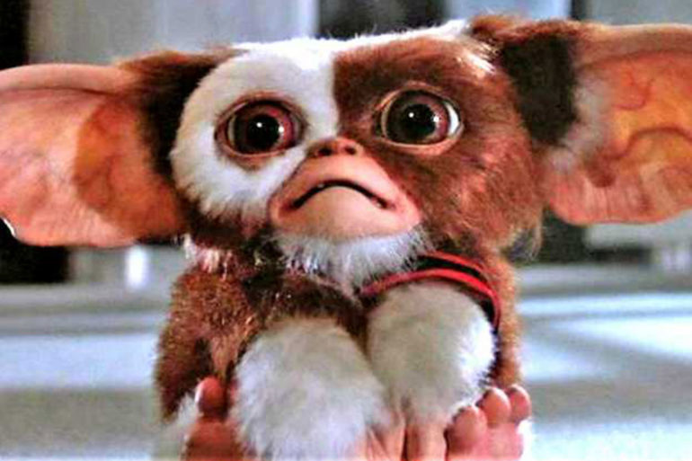 Gremlins Gizmo