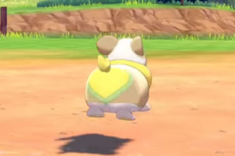 Pokemon Sword and Shield Yammers