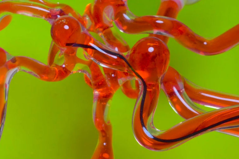 Robot Worm