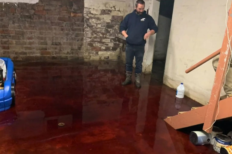 Blood Basement