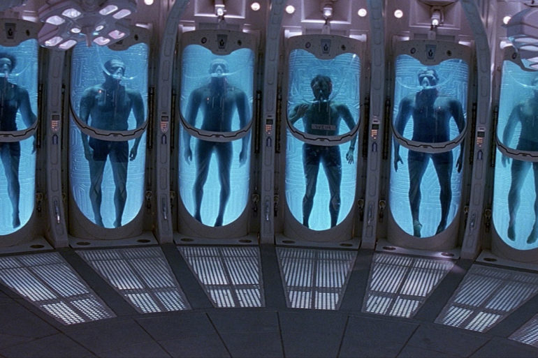 Event Horizon Stasis