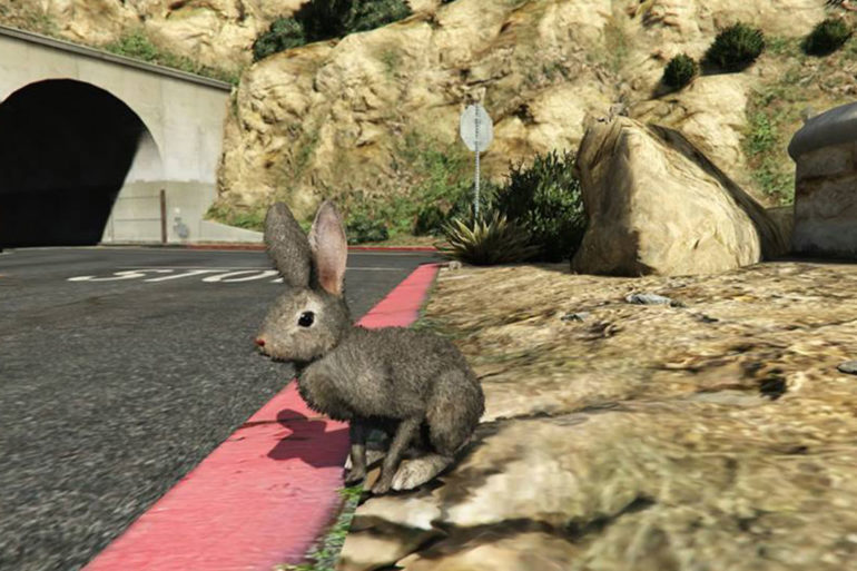 Grand Theft Auto Online Peyote Rabbit