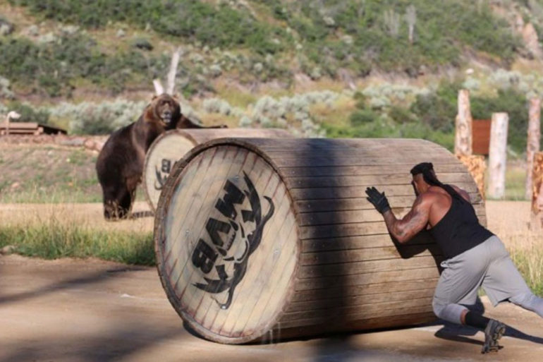 Man vs. Bear Discovery Channel