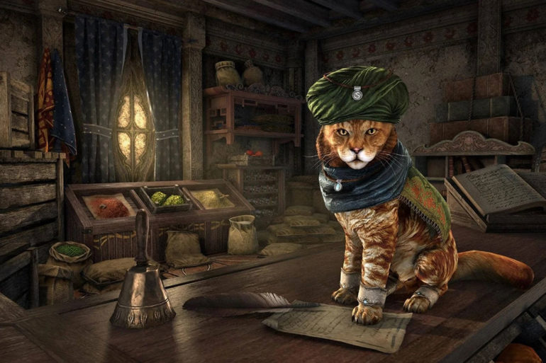 Elder Scrolls Online Khajiit Merchant