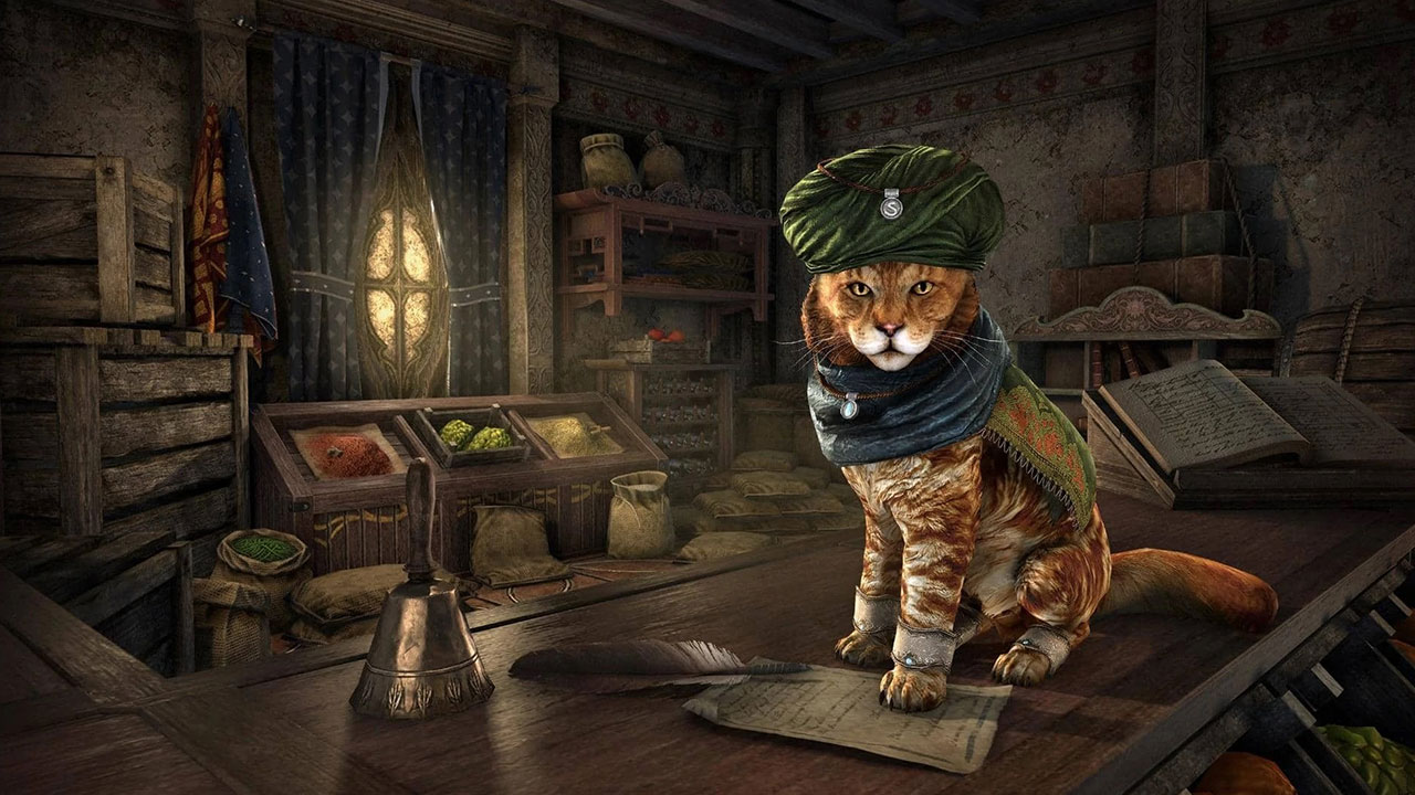 Elder Scrolls Online Khajiit Merchant