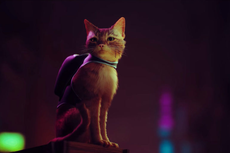 Stray