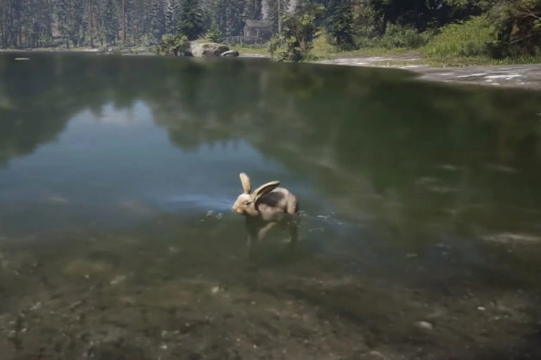 RDO Rabbit