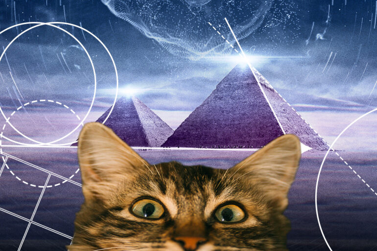 Ancient Aliens Cat