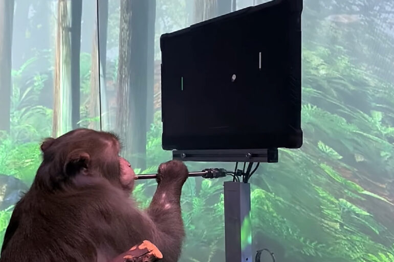 Neuralink Mindpong Monkey