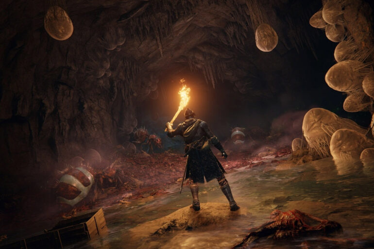 Elden Ring Player Beats Final Boss Naked... With A Torch